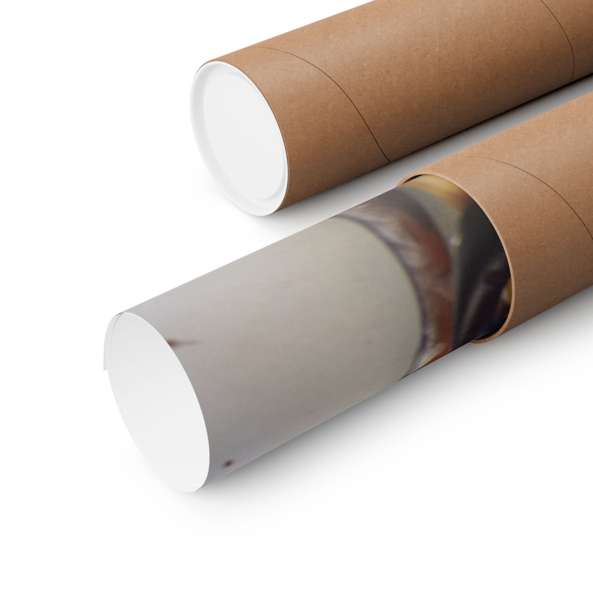 Lobsters — photograph by Alex Frishberg