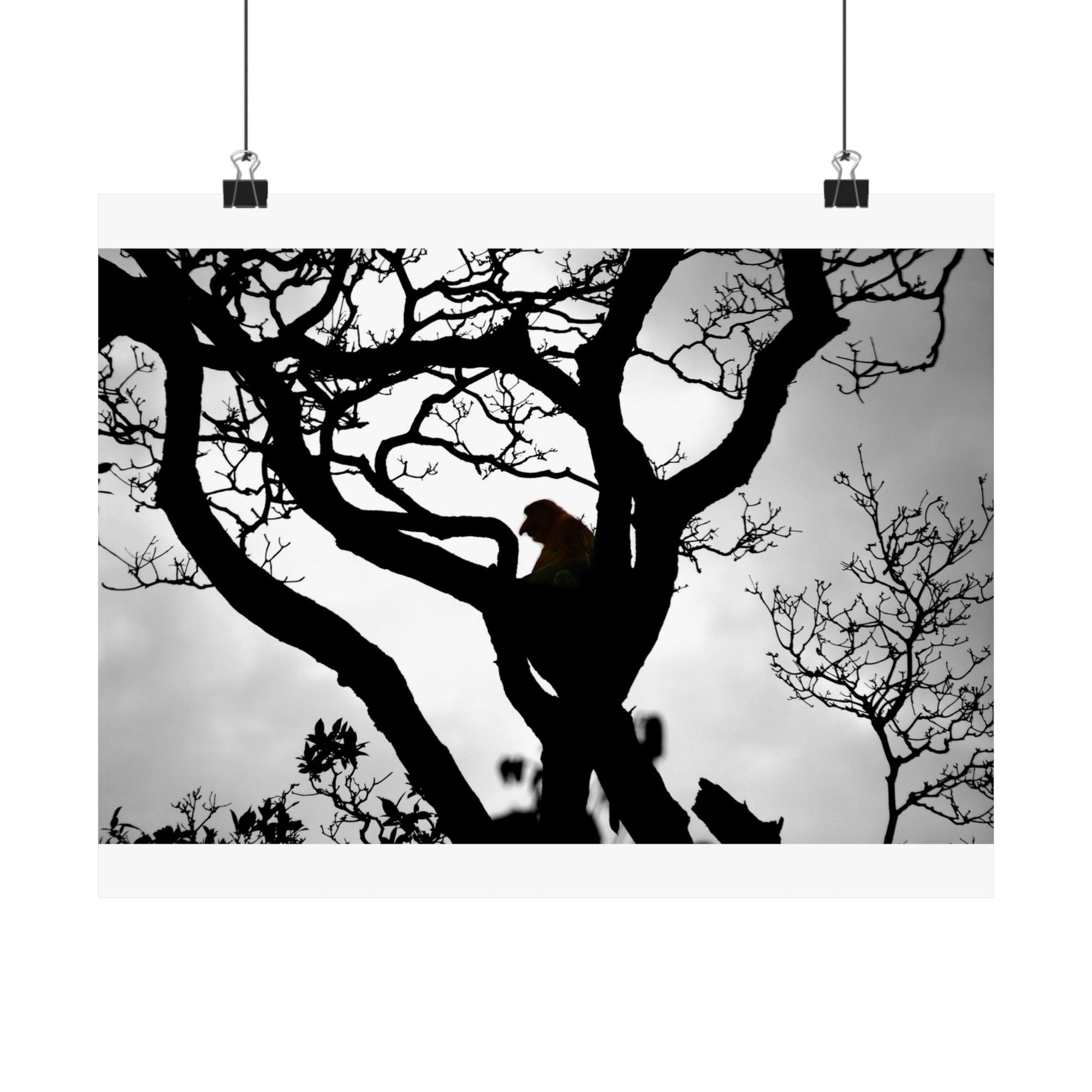 The Tree — photograph by Alex Frishberg