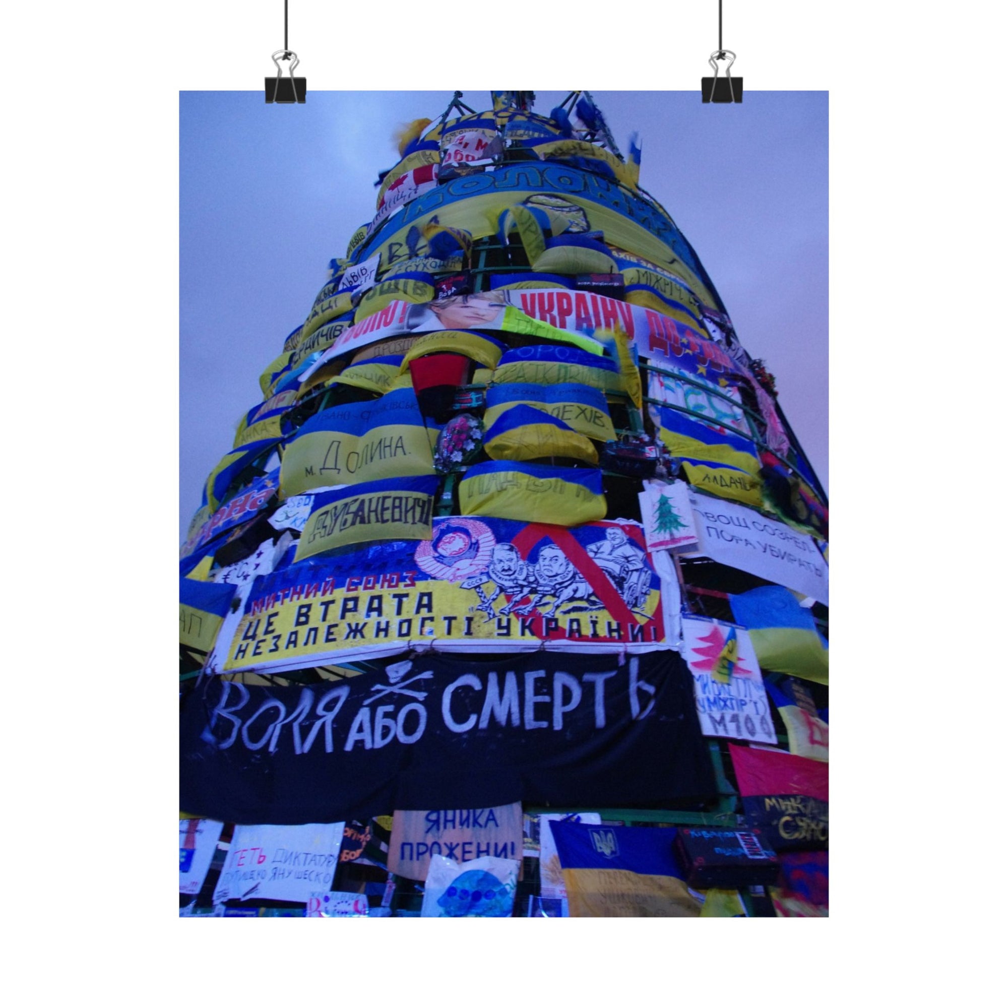 The Tree of Maidan — photograph by Alex Frishberg