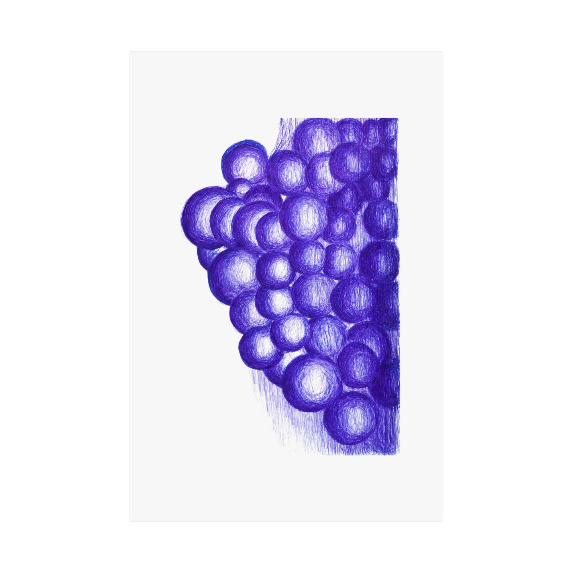 Blue Grapes — drawing by Alex Frishberg