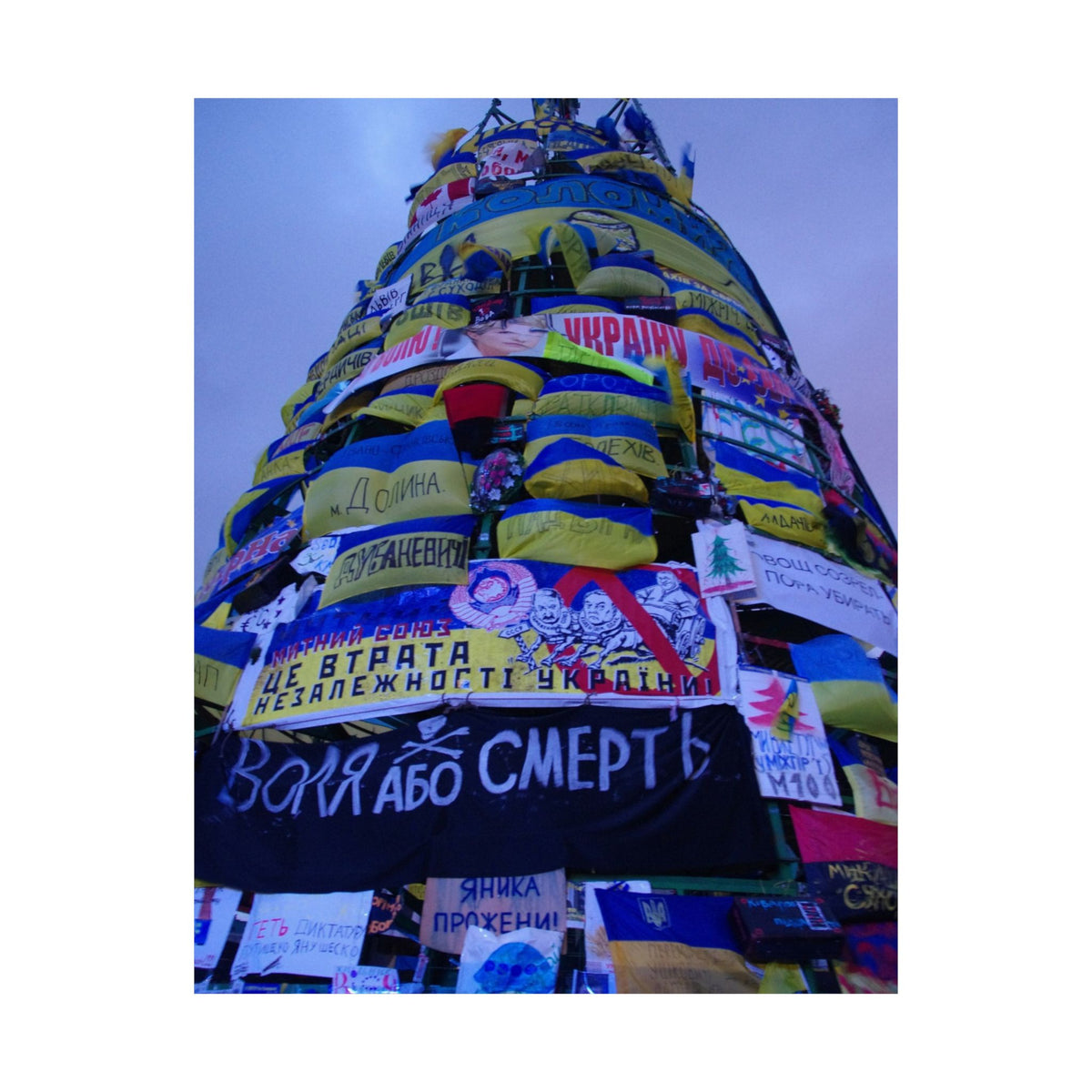 The Tree of Maidan — photograph by Alex Frishberg