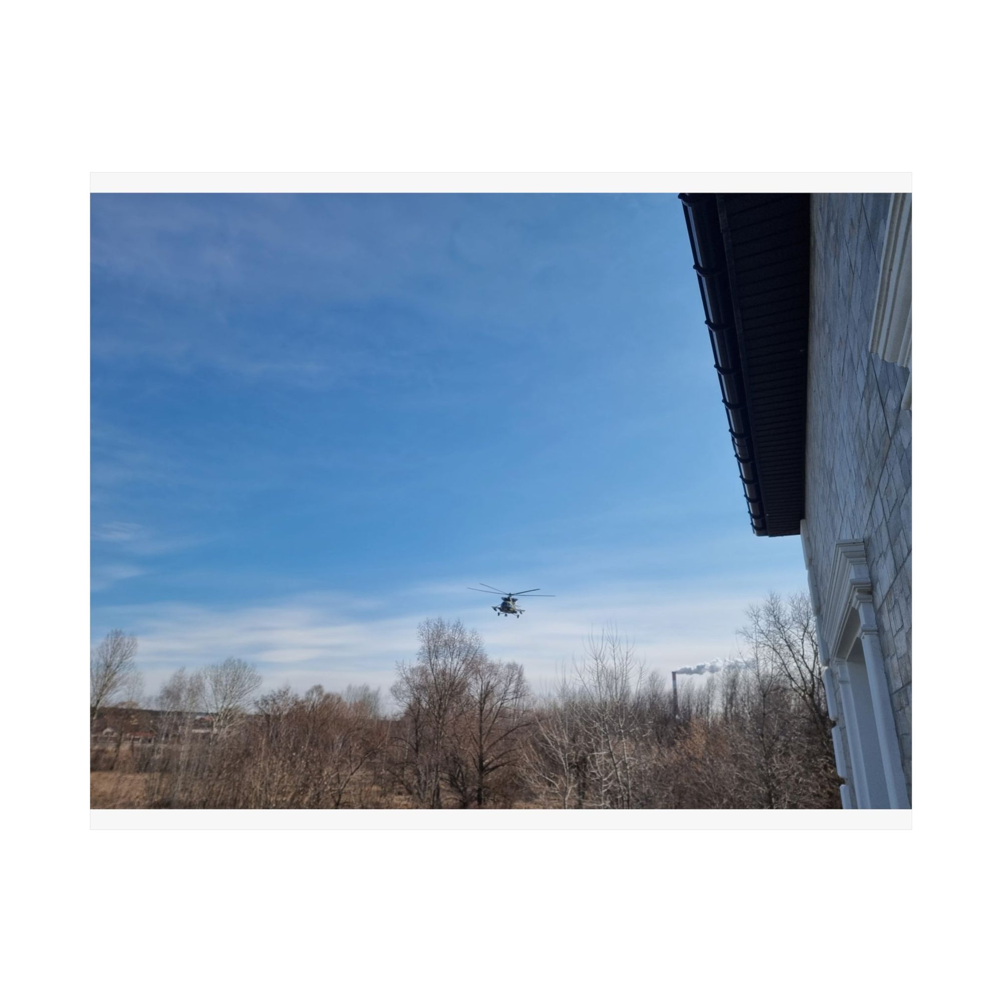 The Bird — photograph by Alex Frishberg