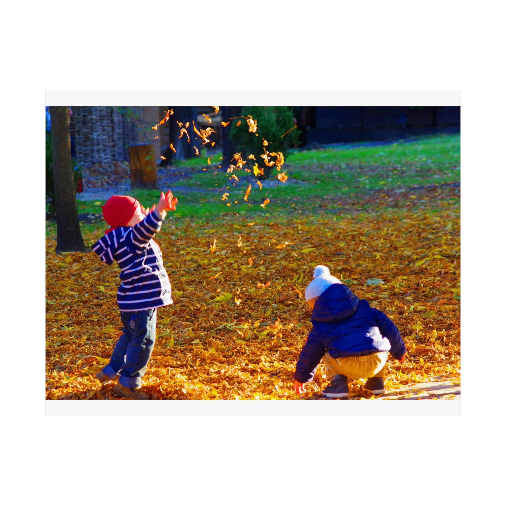 Autumn Leaves — photograph by Alex Frishberg