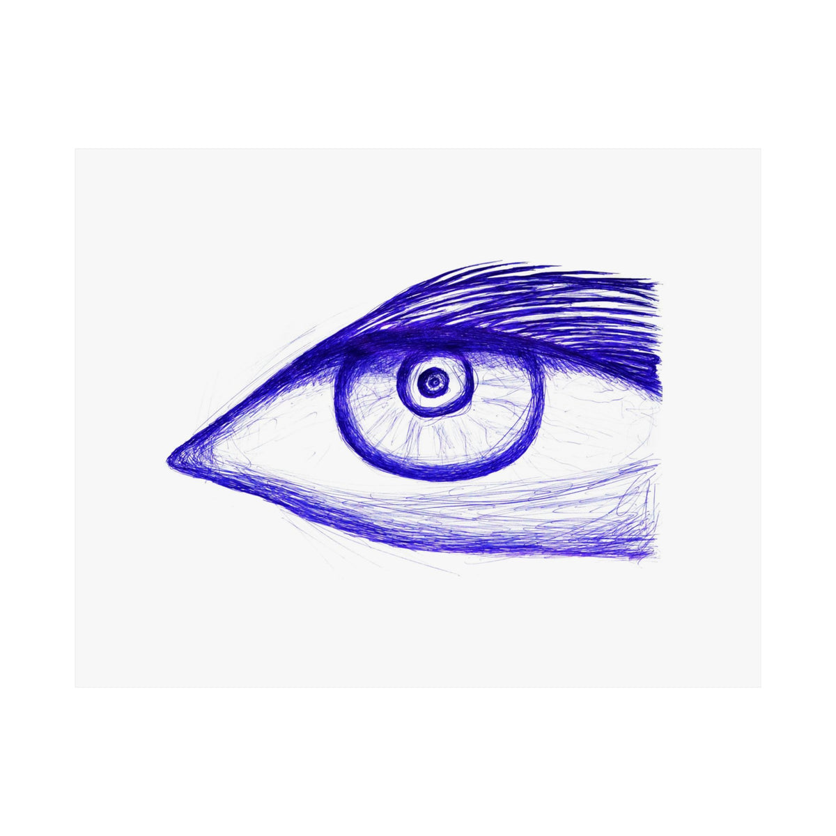 Fish Eye — drawing by Alex Frishberg