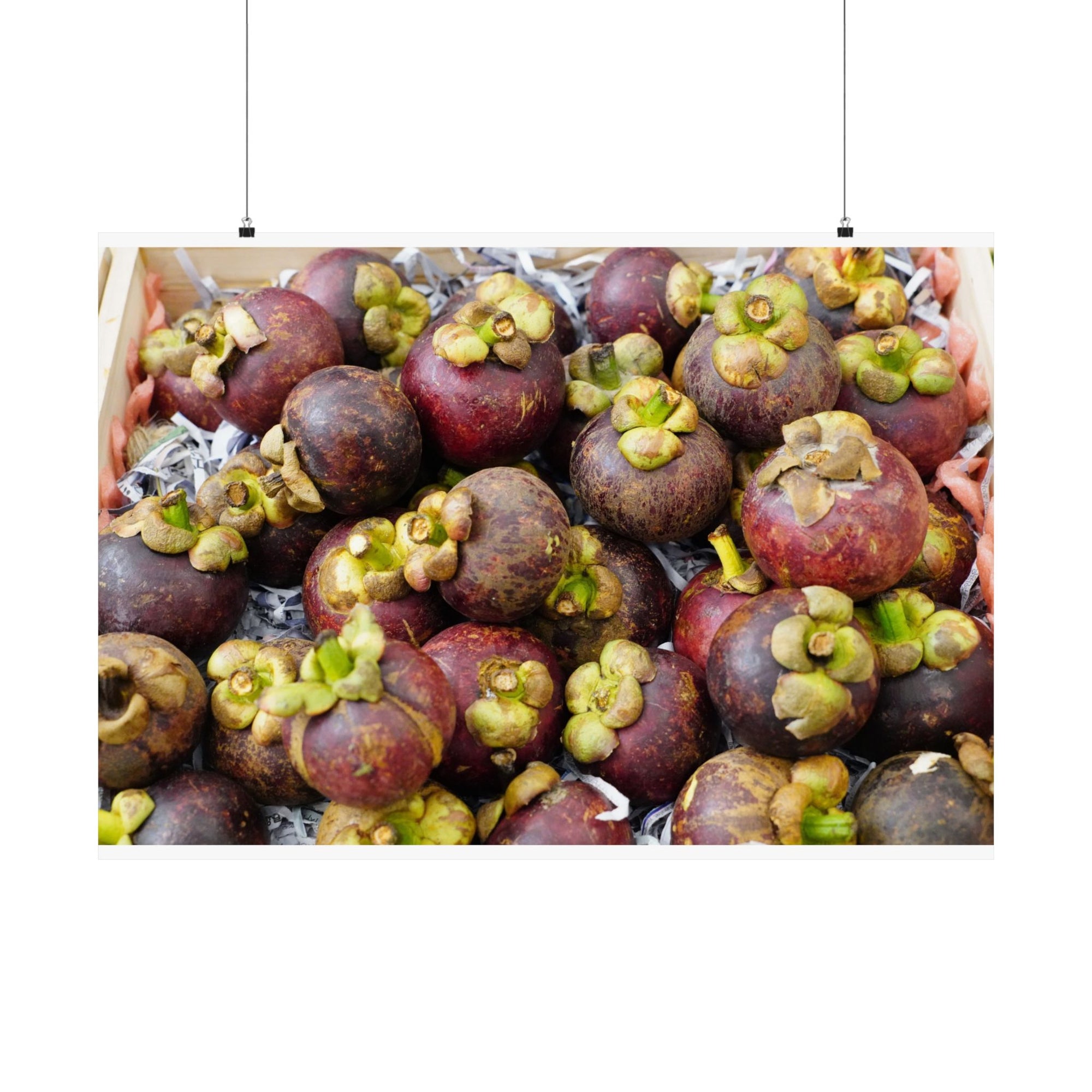 Mangosteens — photograph by Alex Frishberg