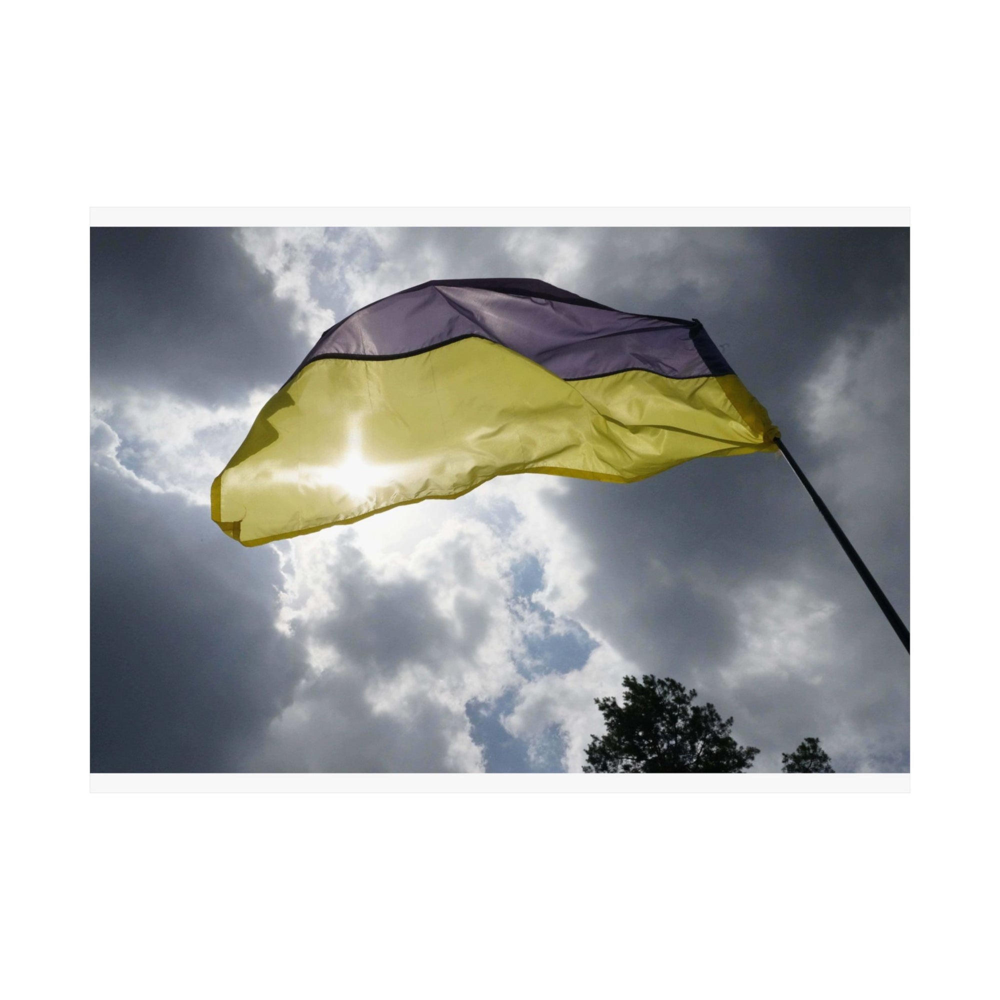 The Tattered Flag — photograph by Alex Frishberg