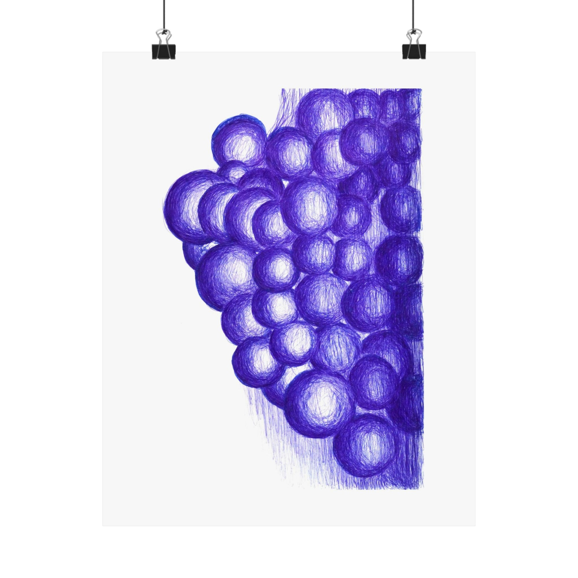 Blue Grapes — drawing by Alex Frishberg