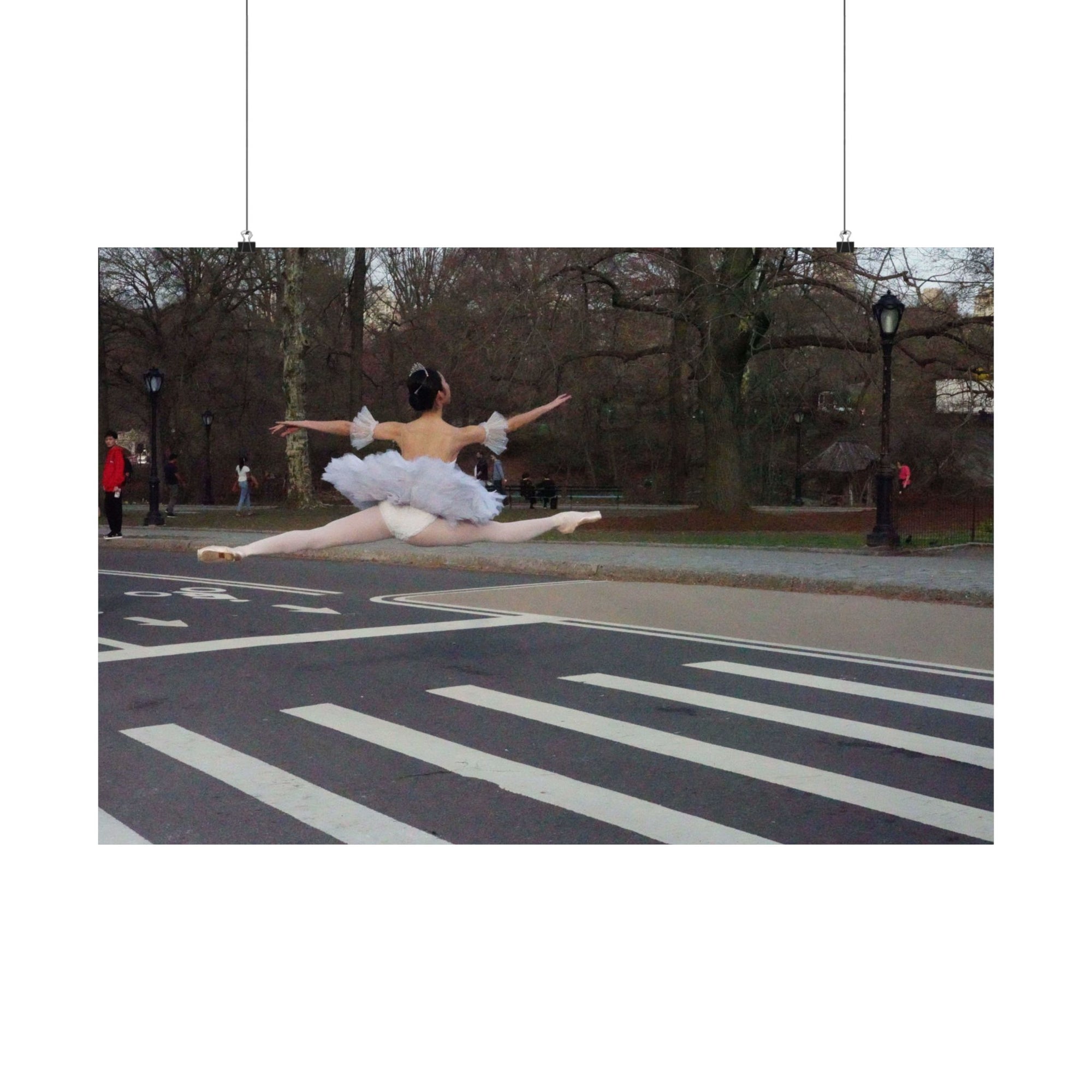 The Ballerina — photograph by Alex Frishberg