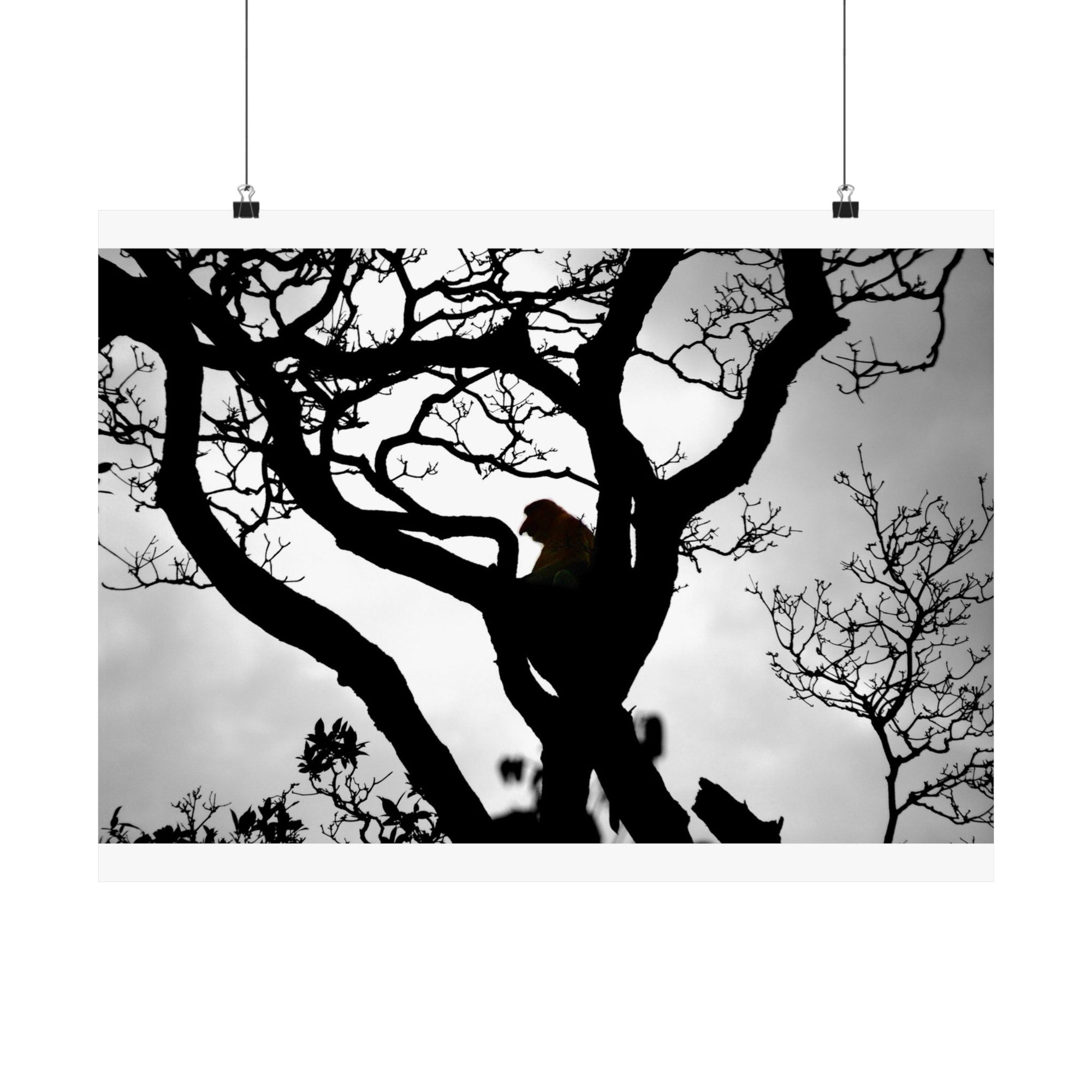 The Tree — photograph by Alex Frishberg