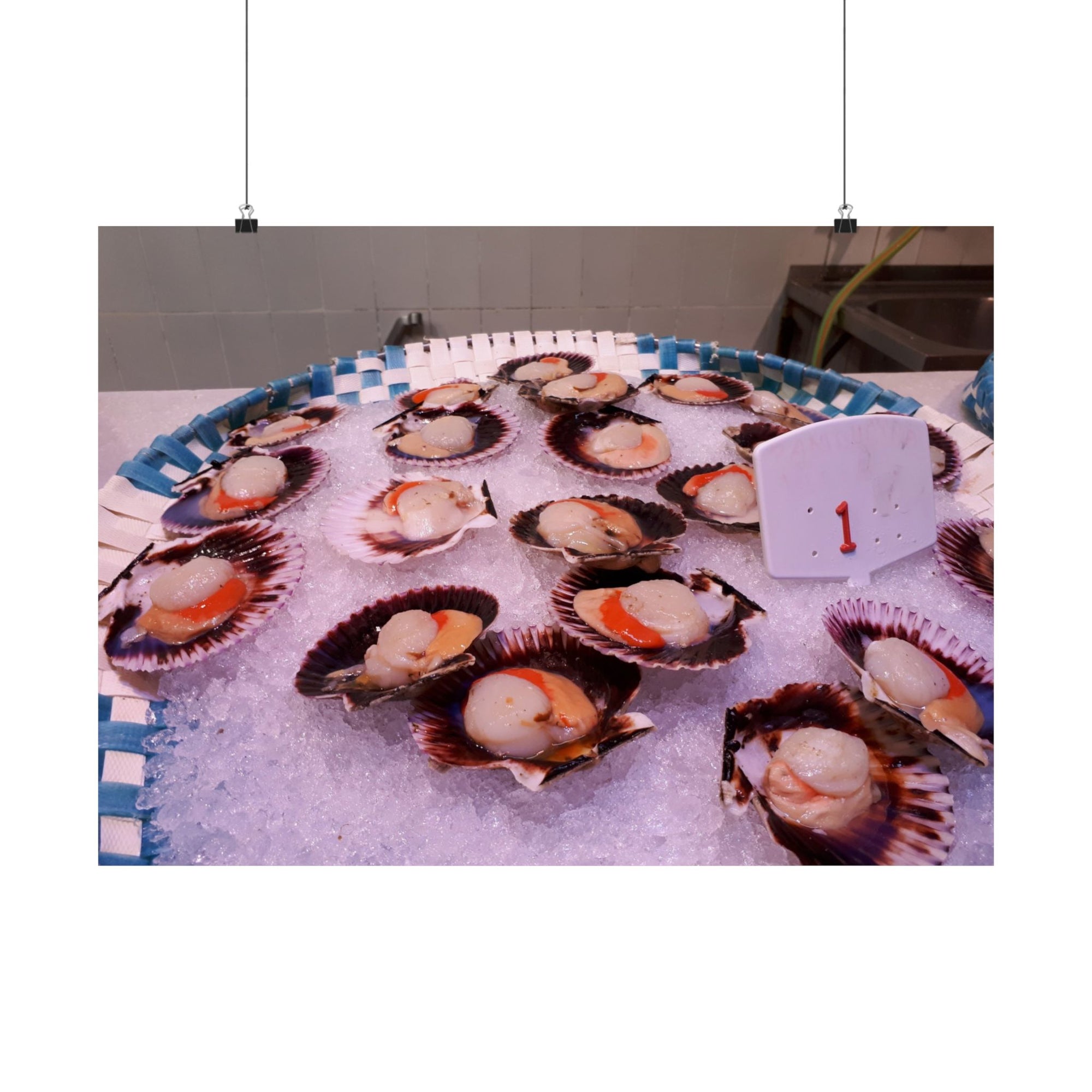 Scallops — photograph by Alex Frishberg