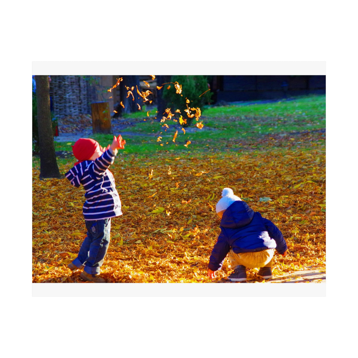 Autumn Leaves — photograph by Alex Frishberg