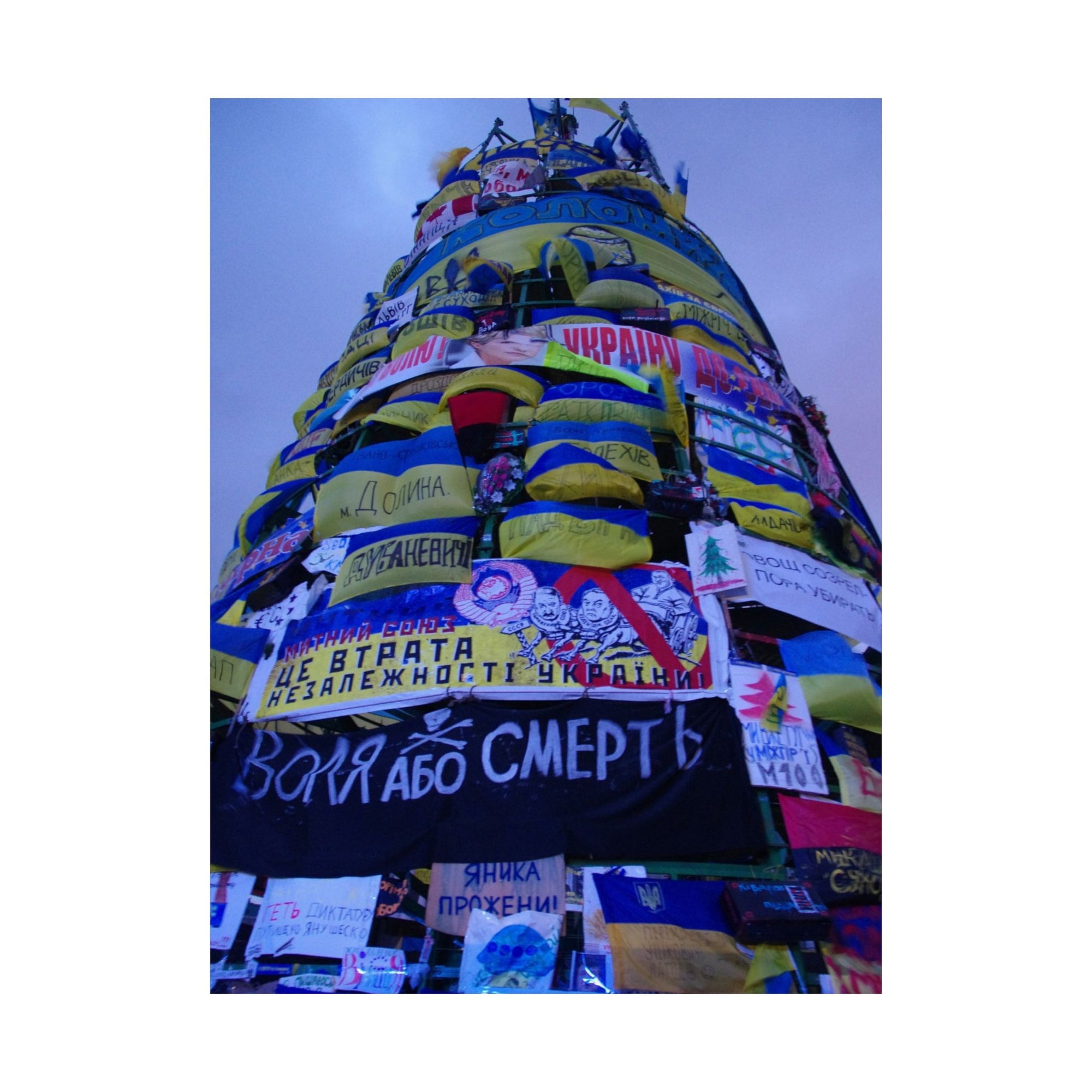 The Tree of Maidan — photograph by Alex Frishberg