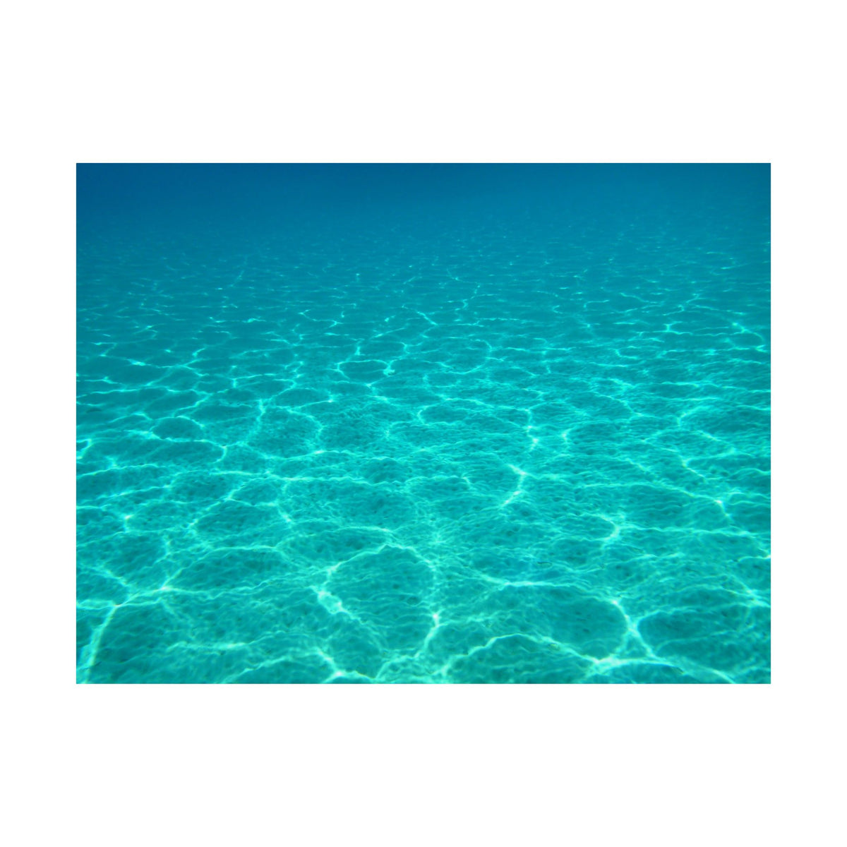 Turquoise — photograph by Alex Frishberg