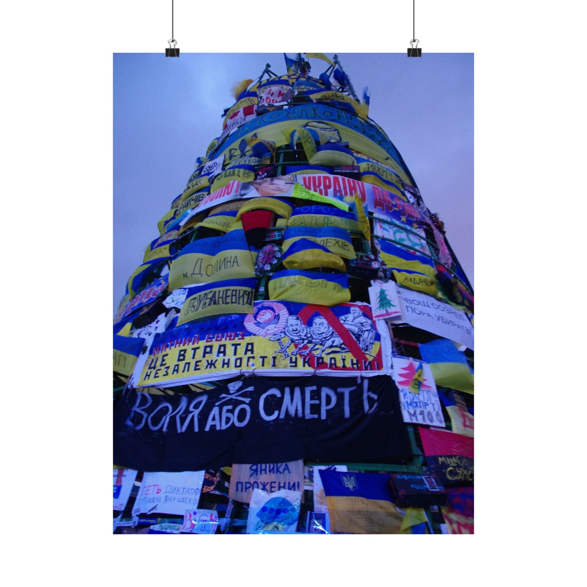 The Tree of Maidan — photograph by Alex Frishberg