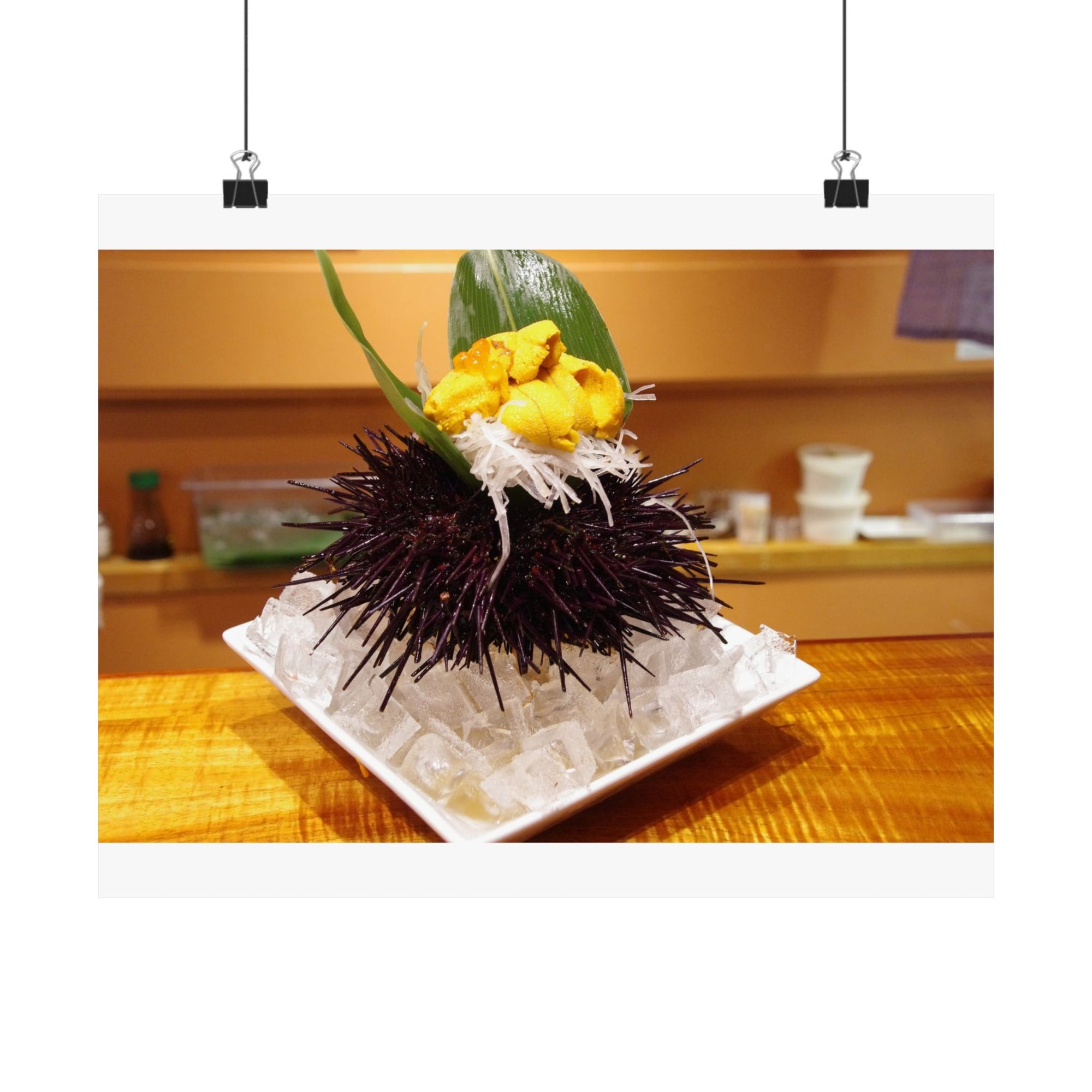 Sea Urchin — photograph by Alex Frishberg