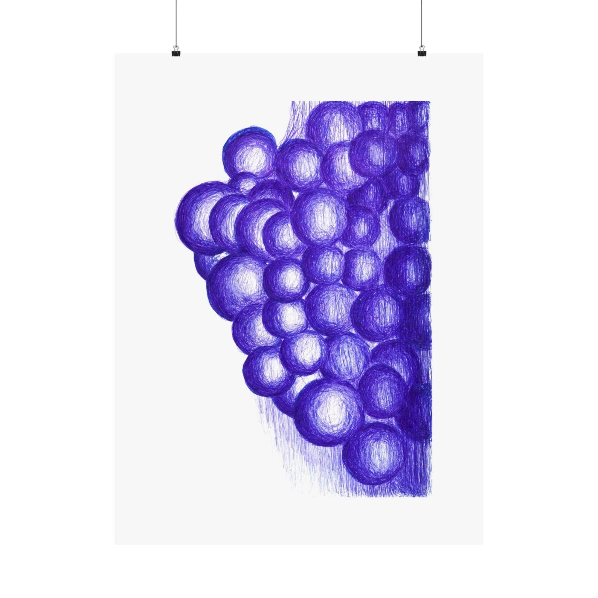Blue Grapes — drawing by Alex Frishberg