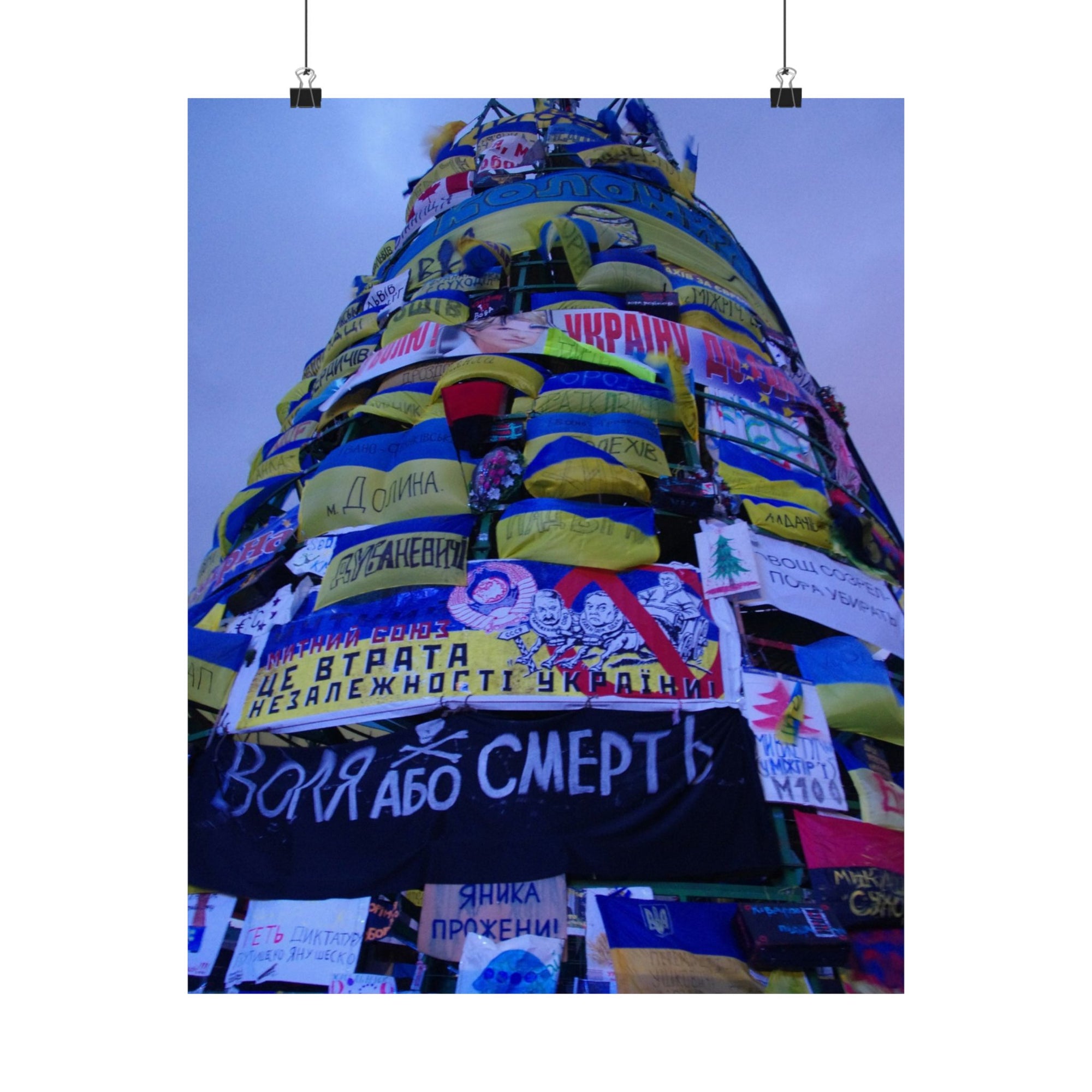 The Tree of Maidan — photograph by Alex Frishberg