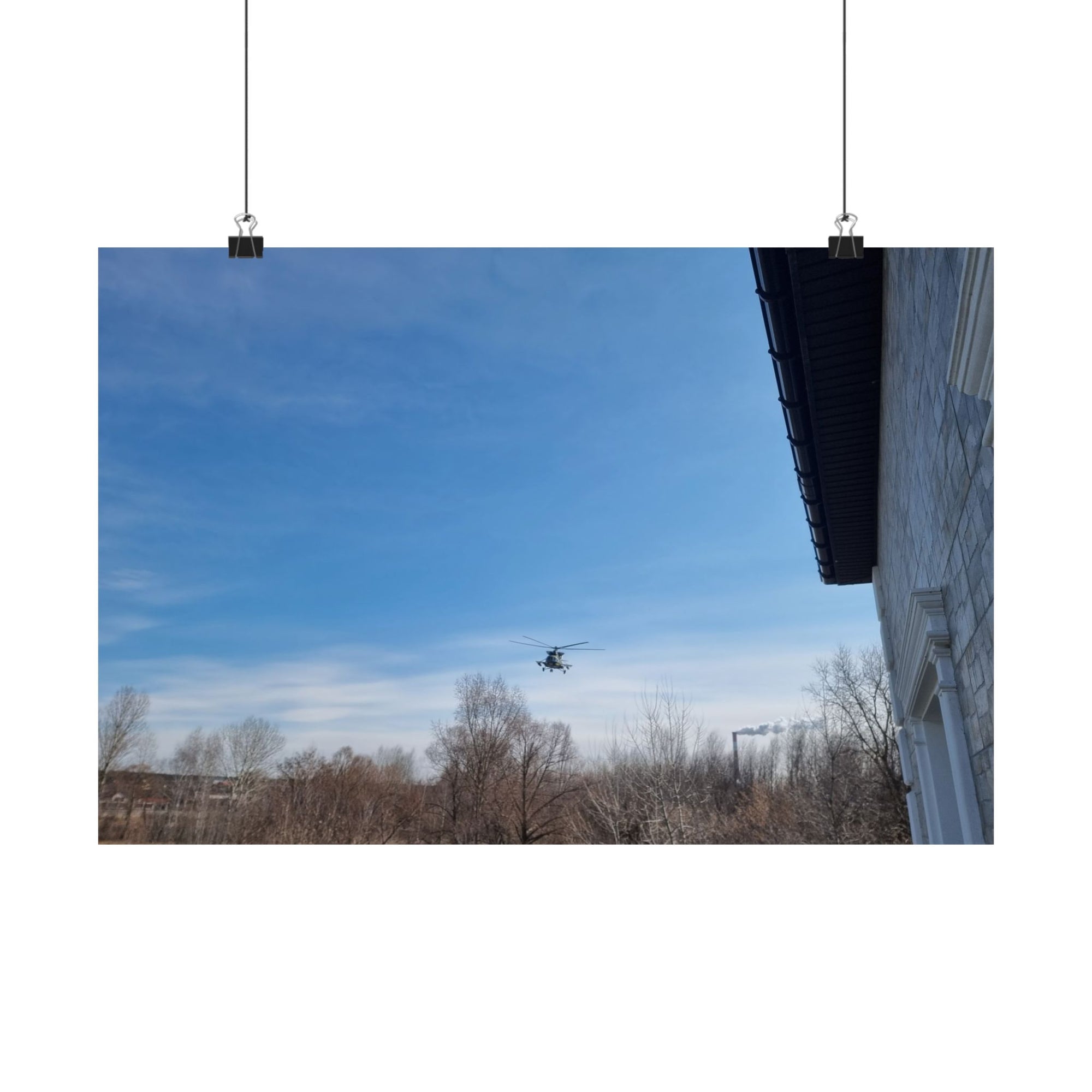 The Bird — photograph by Alex Frishberg