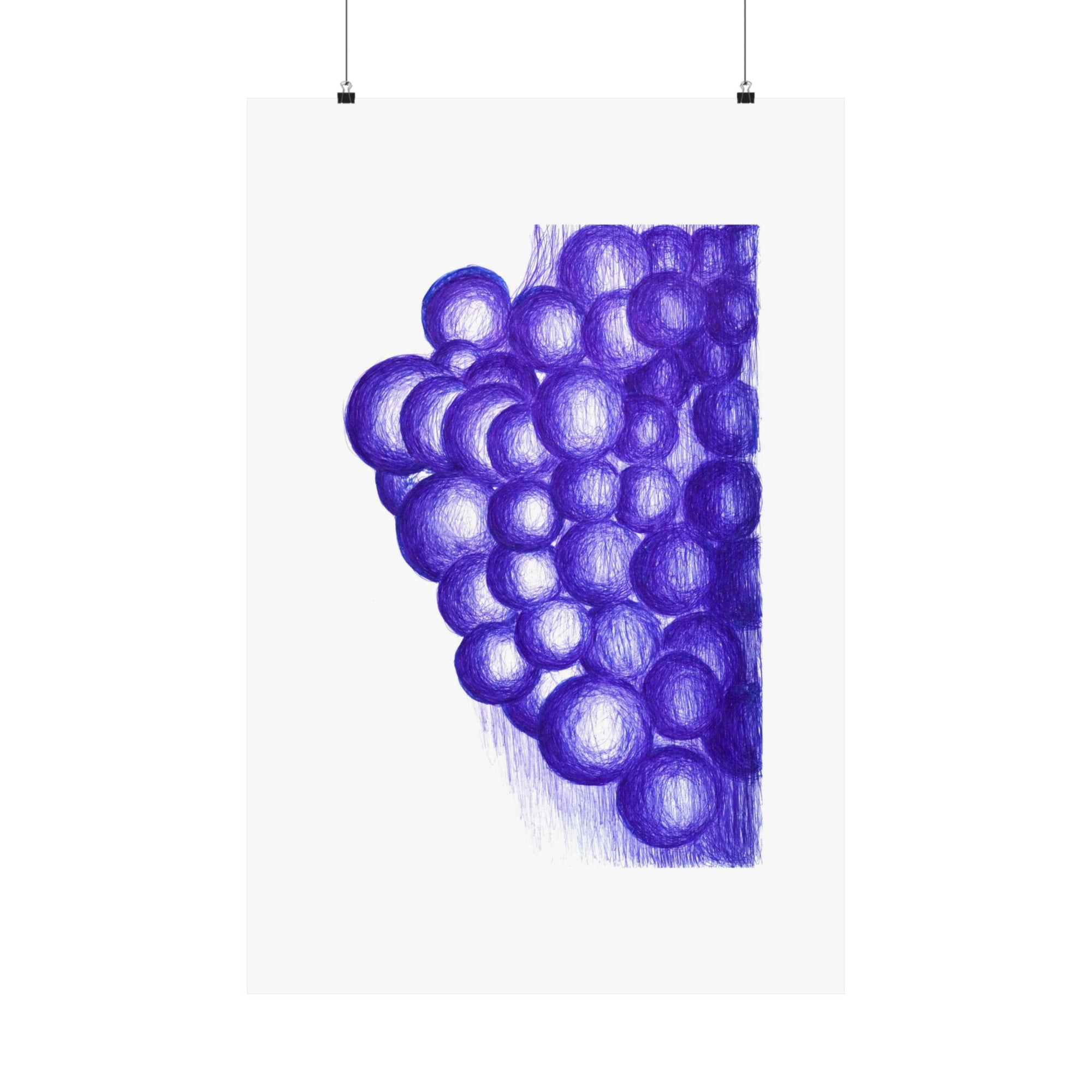 Blue Grapes — drawing by Alex Frishberg
