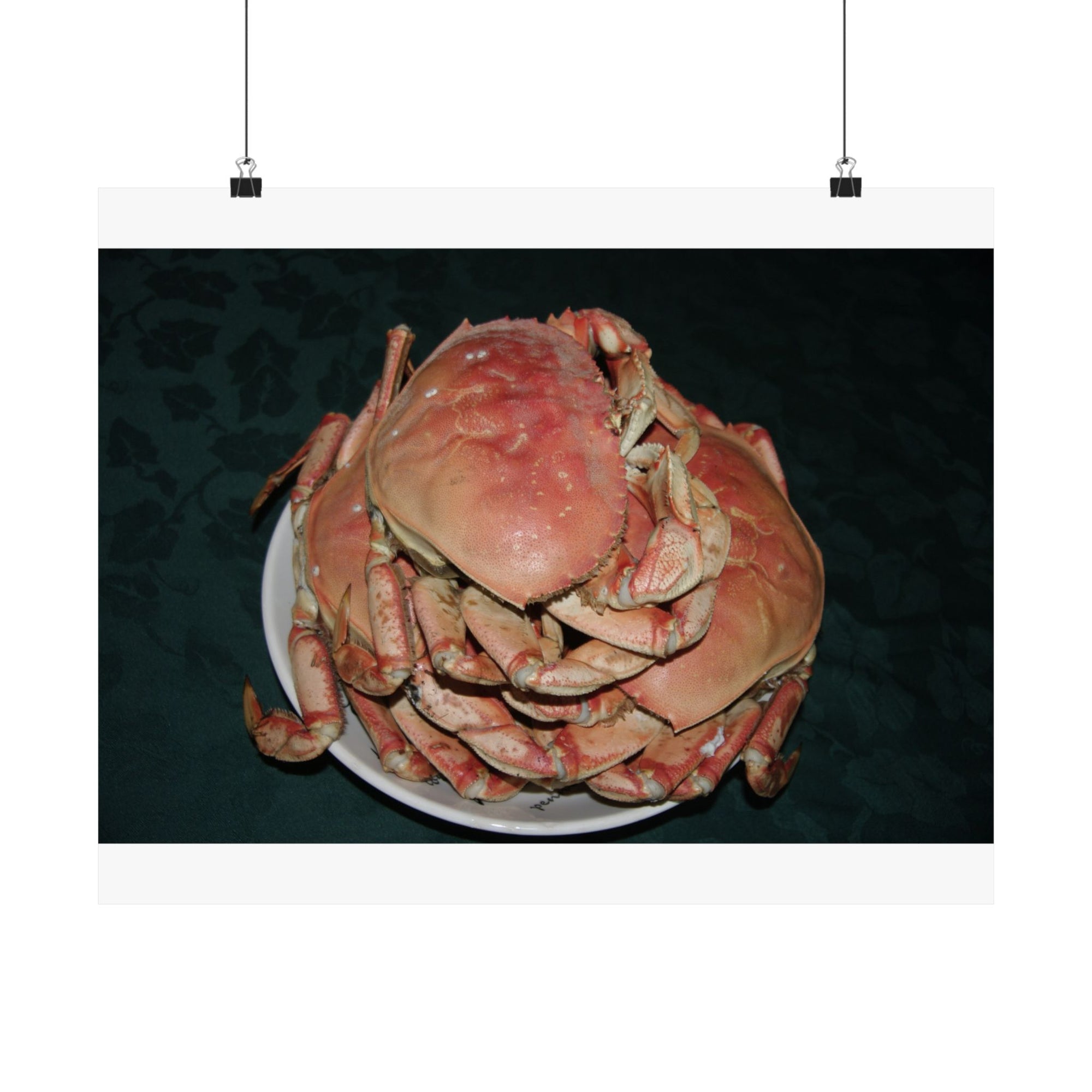 The Crab Stack — photograph by Alex Frishberg