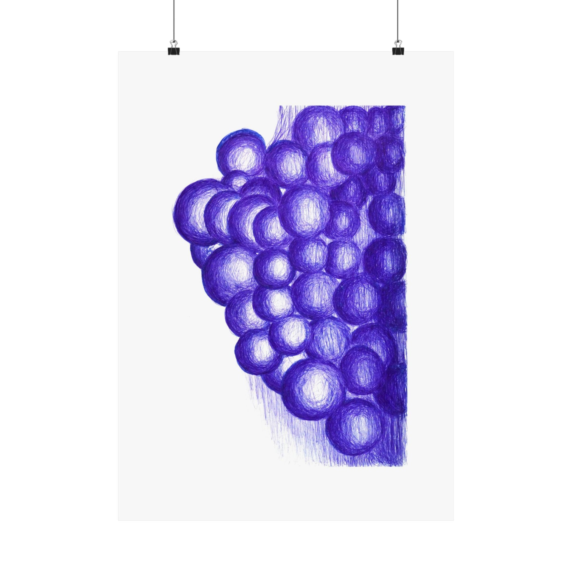 Blue Grapes — drawing by Alex Frishberg