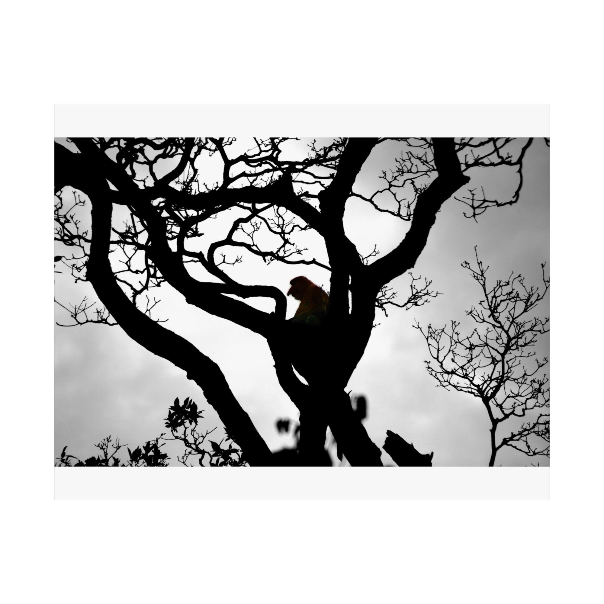 The Tree — photograph by Alex Frishberg