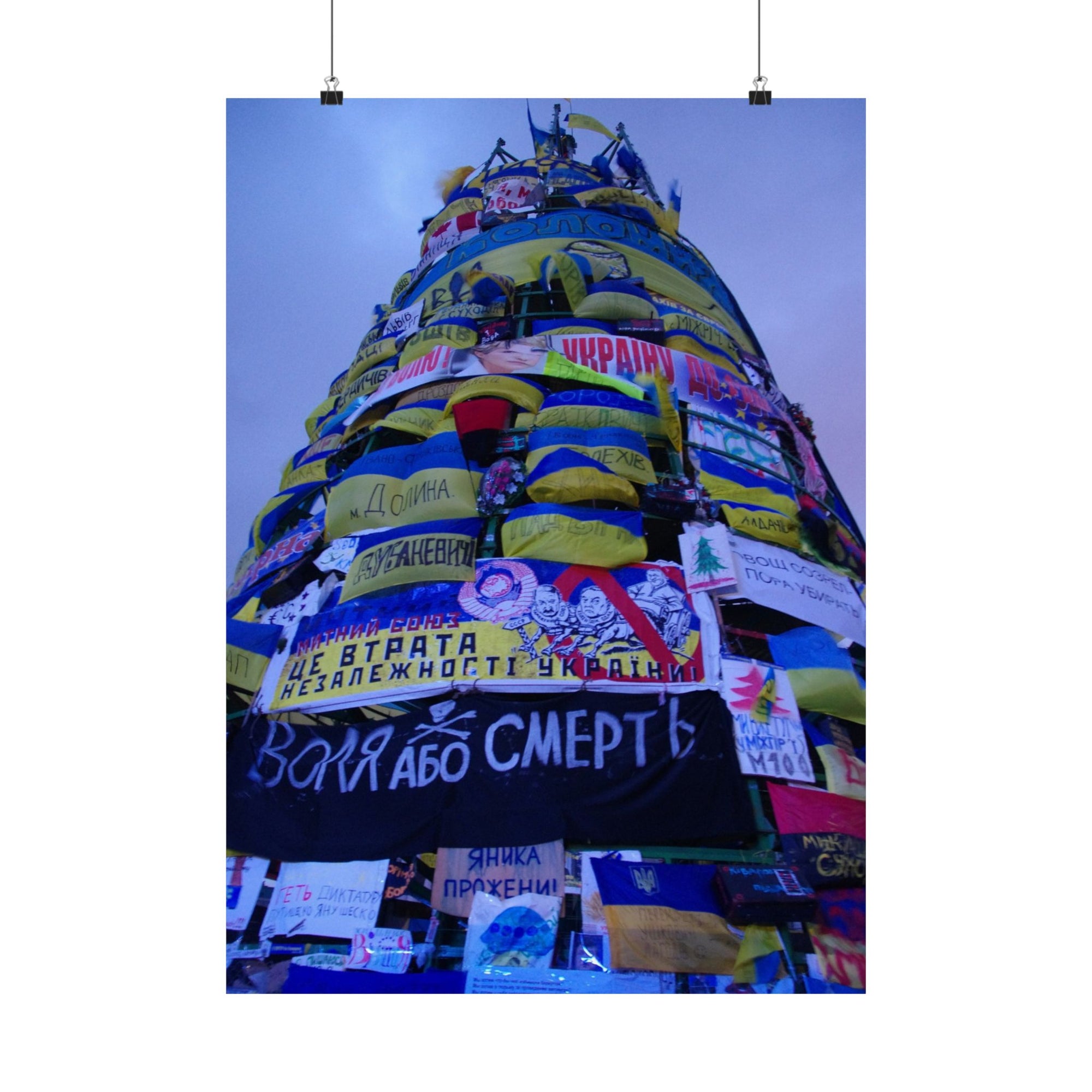 The Tree of Maidan — photograph by Alex Frishberg