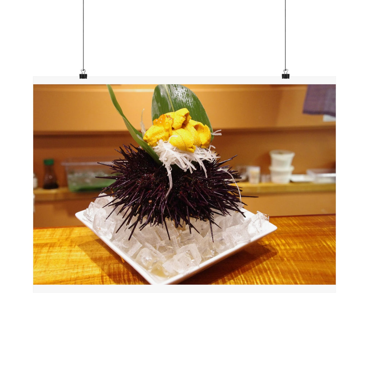 Sea Urchin — photograph by Alex Frishberg