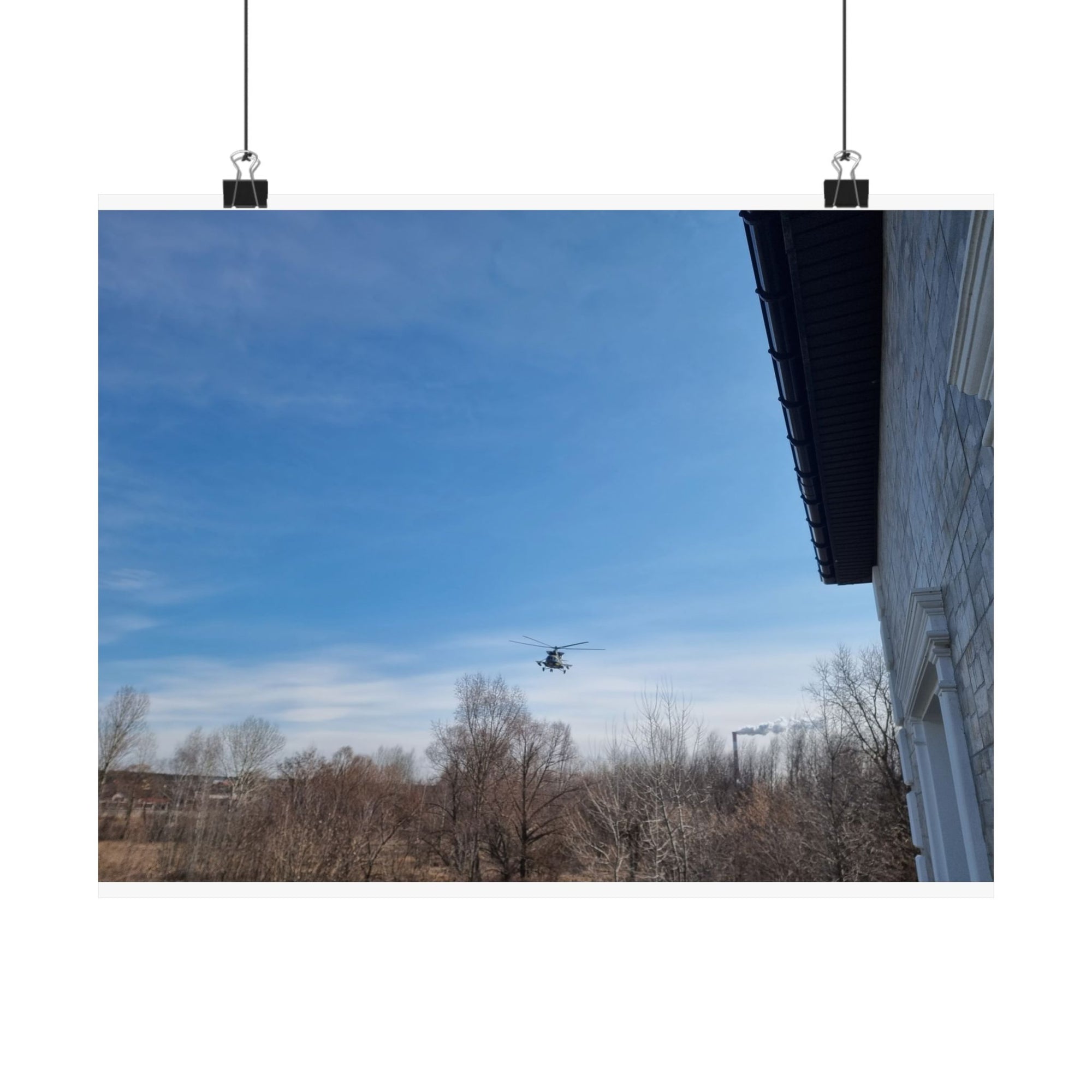 The Bird — photograph by Alex Frishberg