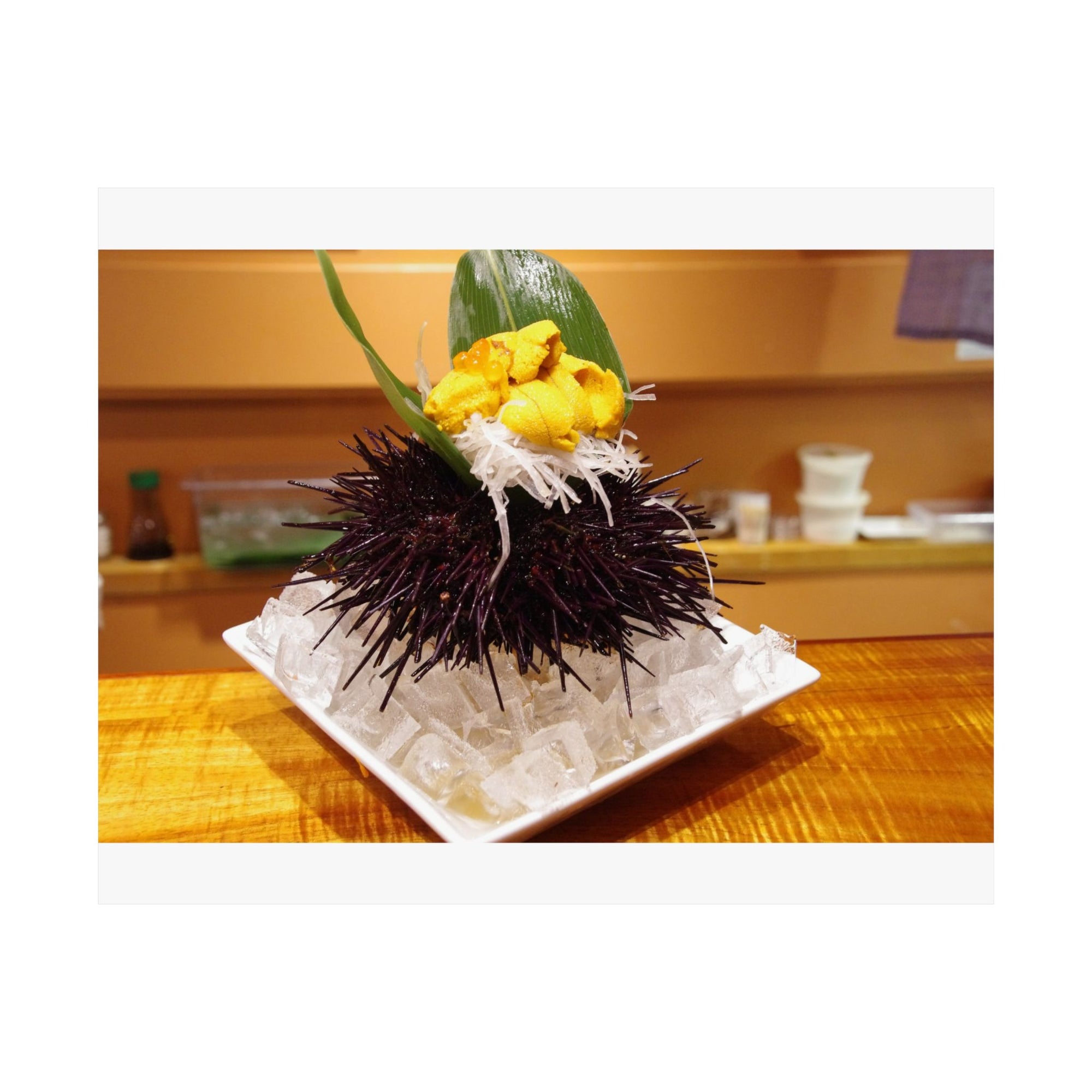 Sea Urchin — photograph by Alex Frishberg