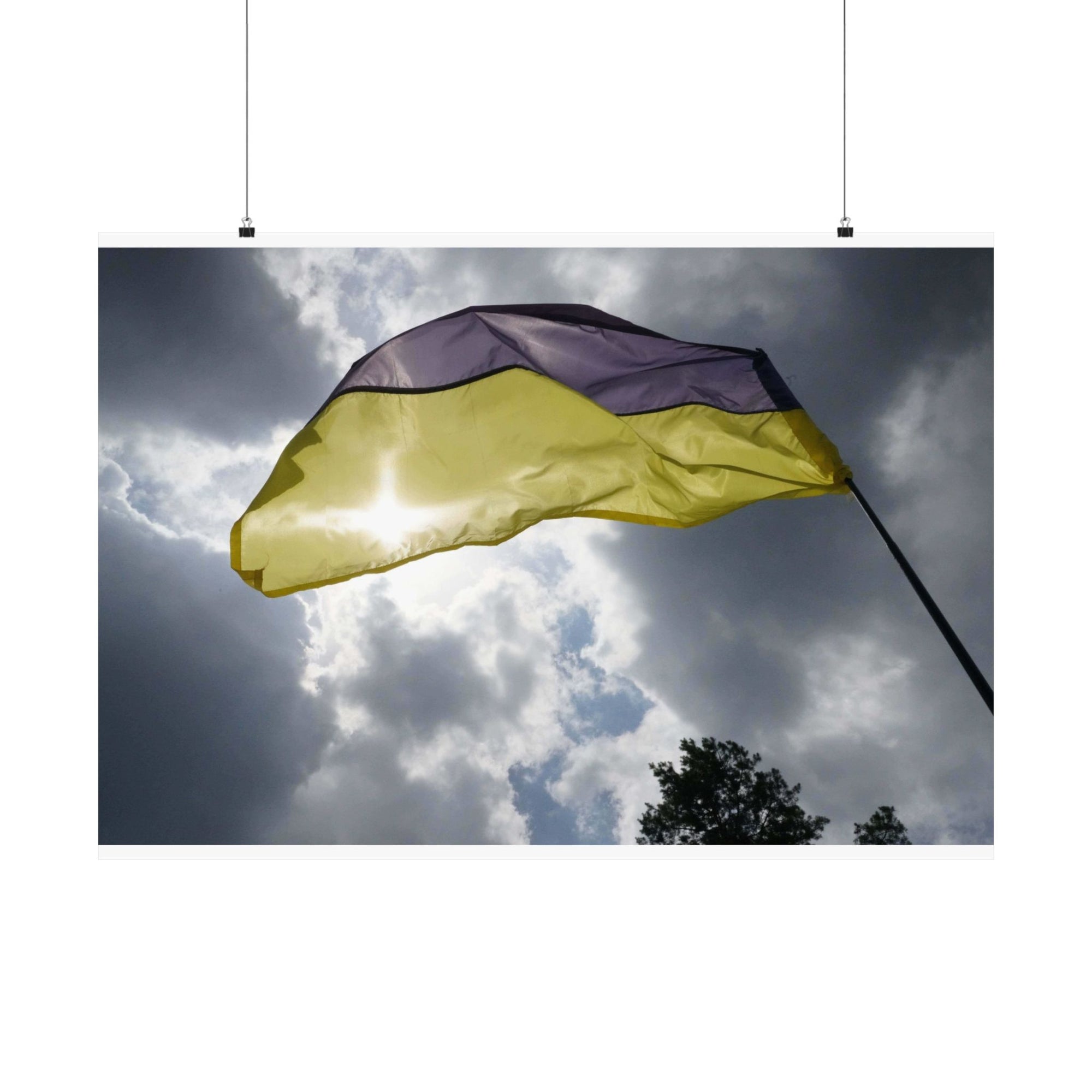 The Tattered Flag — photograph by Alex Frishberg