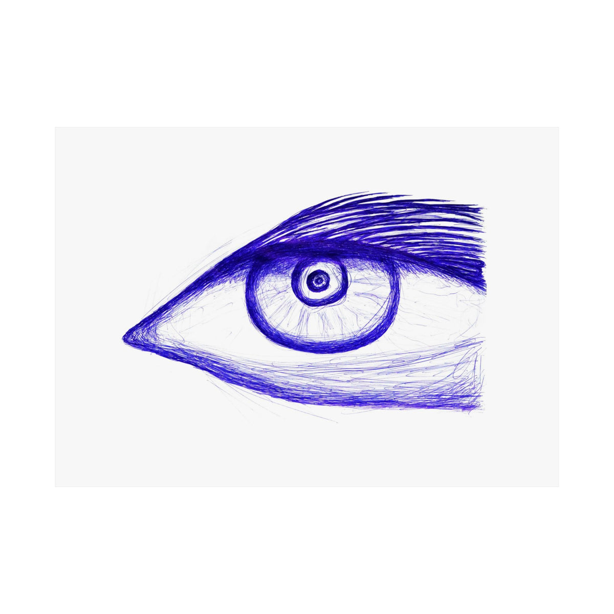 Fish Eye — drawing by Alex Frishberg