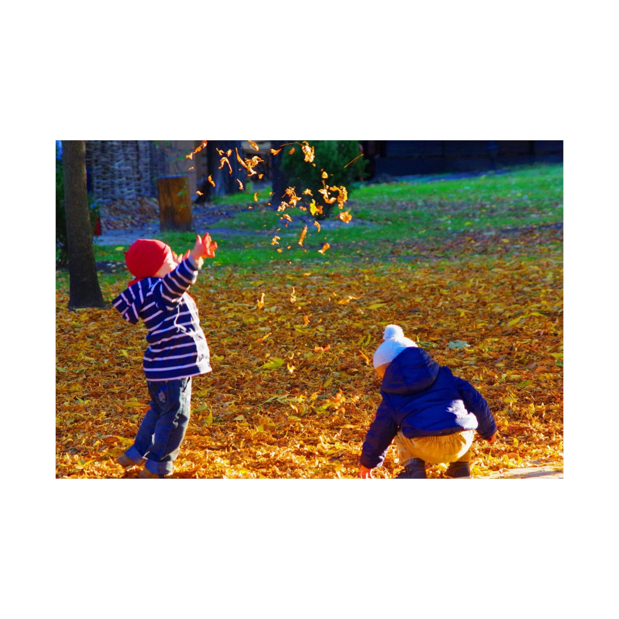 Autumn Leaves — photograph by Alex Frishberg